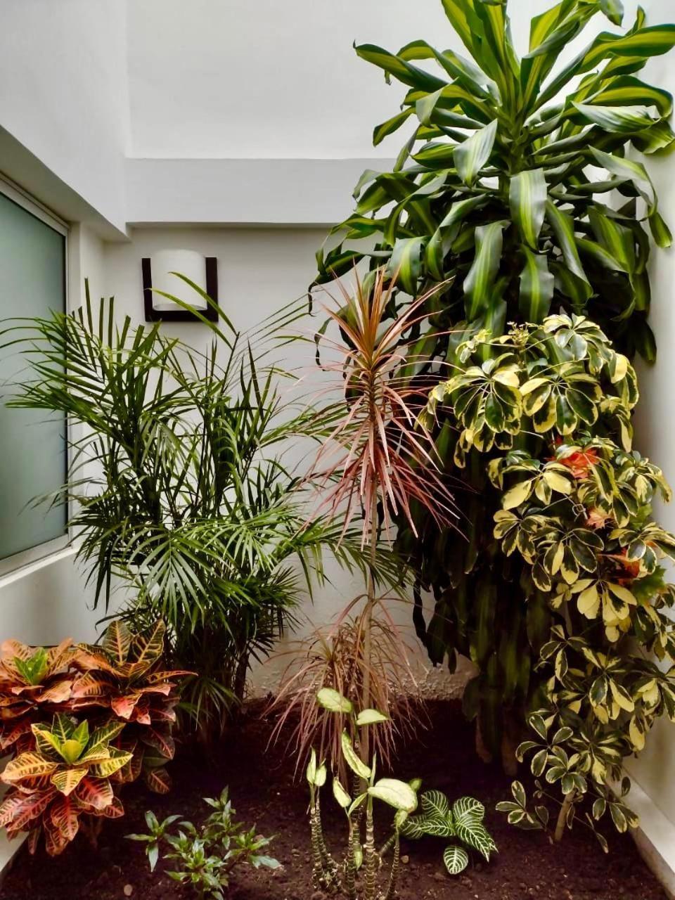 Hotel Jardin 38 Pasto Εξωτερικό φωτογραφία