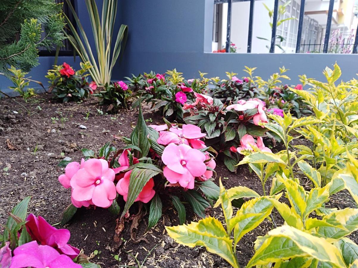 Hotel Jardin 38 Pasto Δωμάτιο φωτογραφία