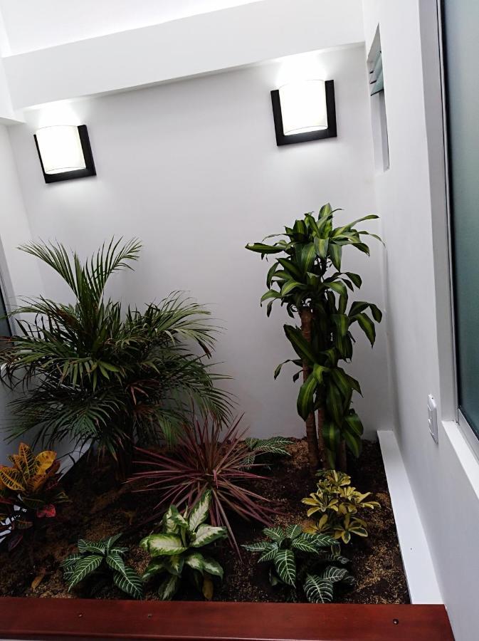 Hotel Jardin 38 Pasto Δωμάτιο φωτογραφία
